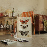 A Tapestry of Winged Wonders