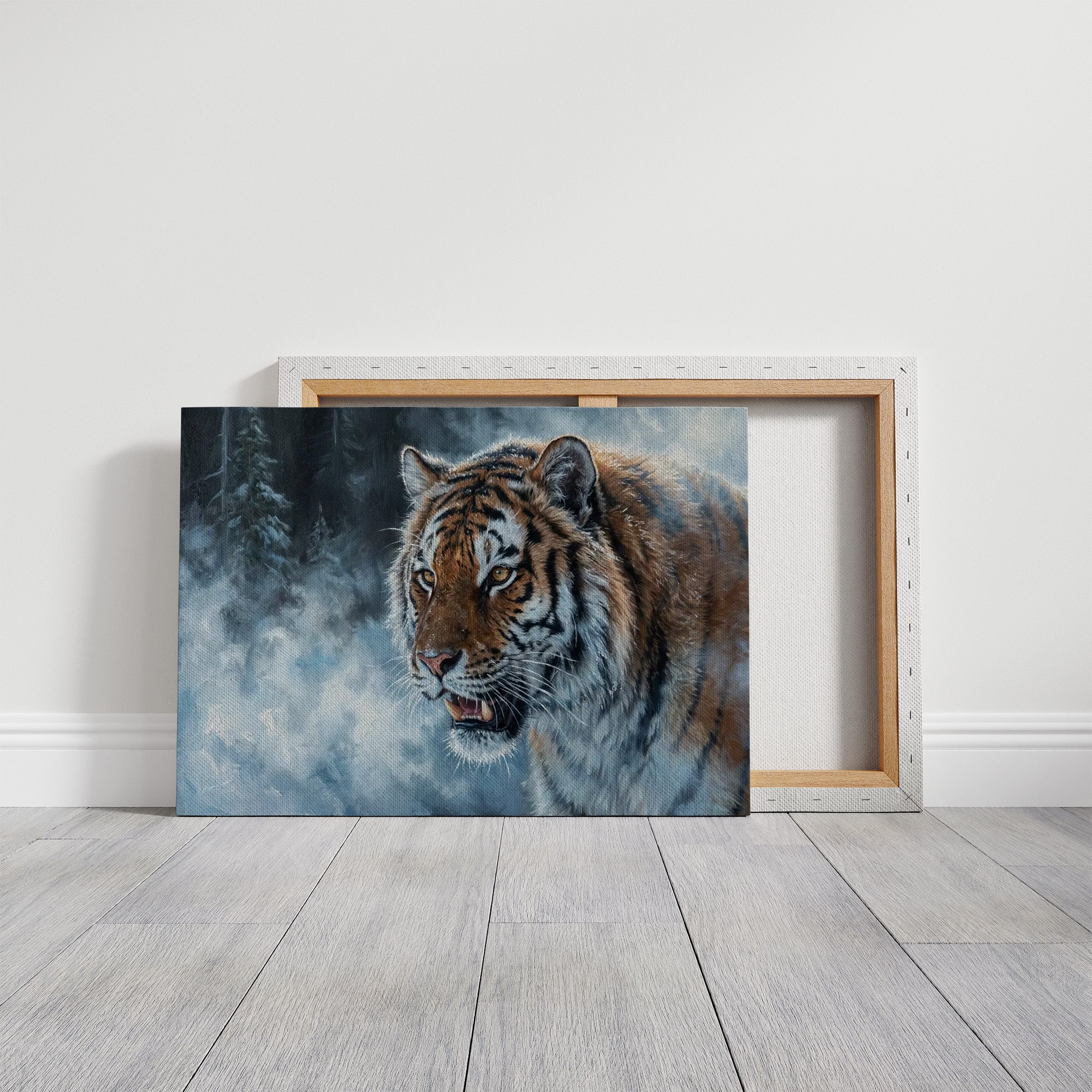 Siberian Tiger in the Snow