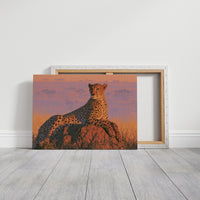 Cheetah, Termite Mound Perch