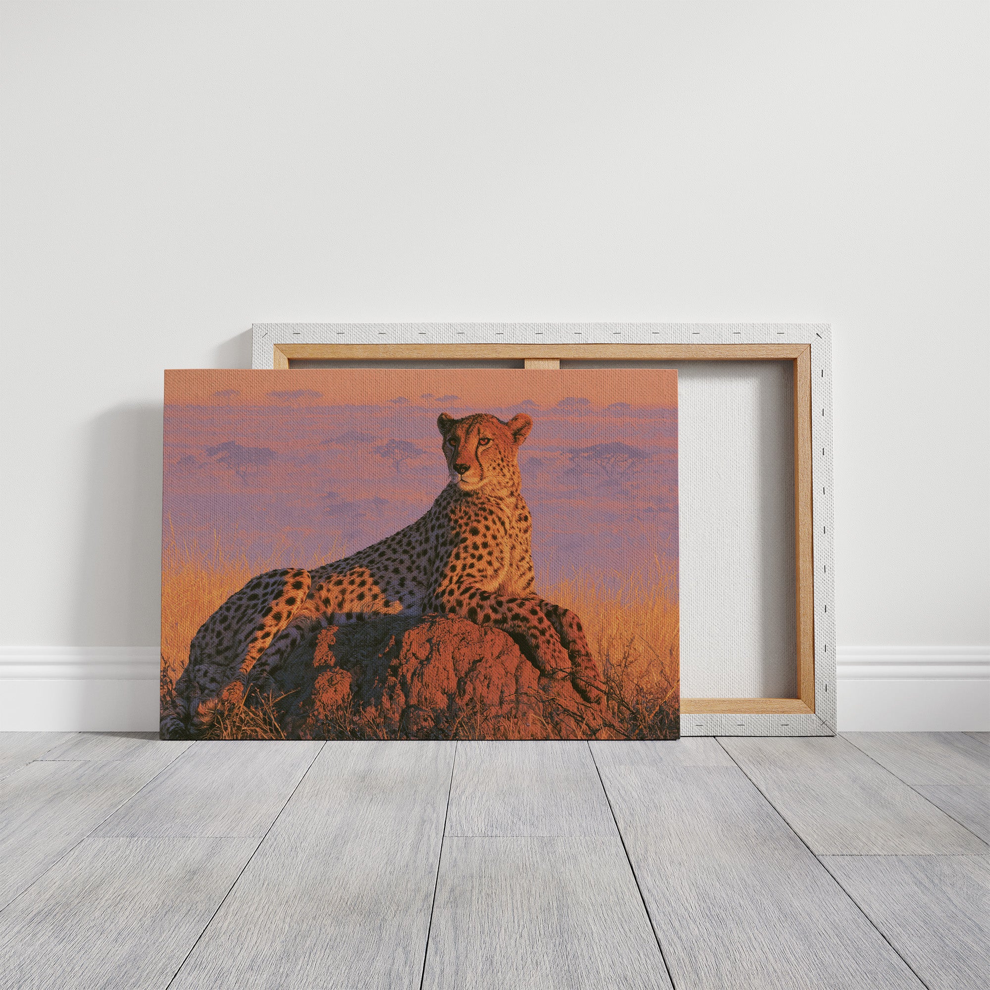 Cheetah, Termite Mound Perch