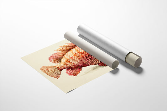 Coral Scorpionfish Study