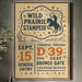 Wild Prairie Stampede Ticket