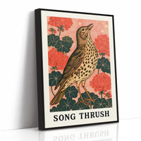 Song Thrush Among Geraniums