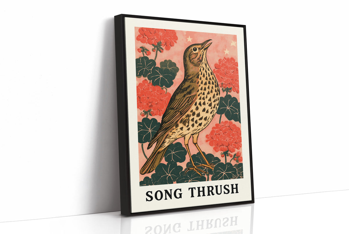 Song Thrush Among Geraniums