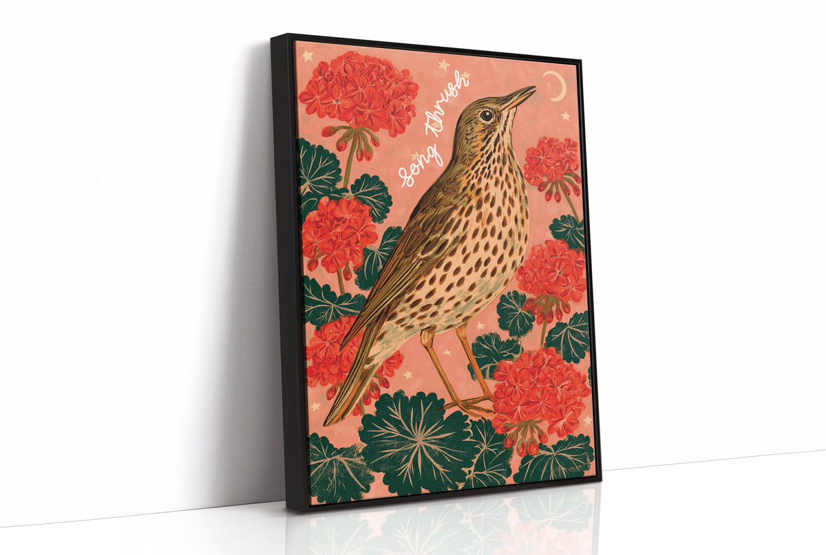 Song Thrush Under a Crescent Moon