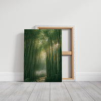 Misty Bamboo Forest Pathway