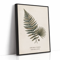 Vintage Herbarium