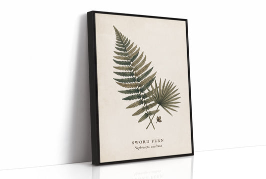 Vintage Herbarium