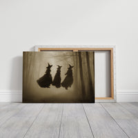 Witches Gather In Misty Woods