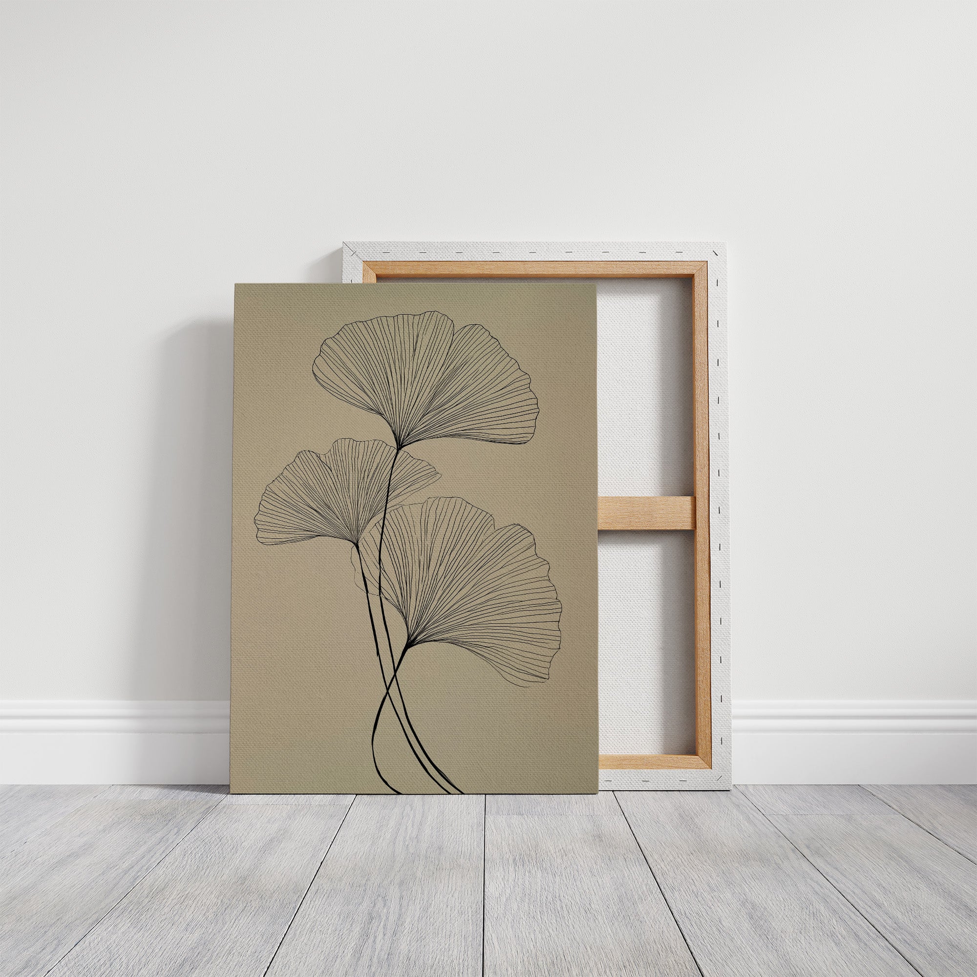 Ginkgo Lines Dance In Morning Light