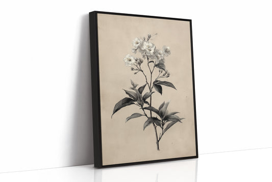 Drawn the Morning It Bloomed