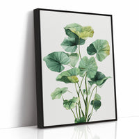 Lotus Leaves Dance In Sunlight