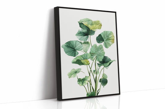 Lotus Leaves Dance In Sunlight