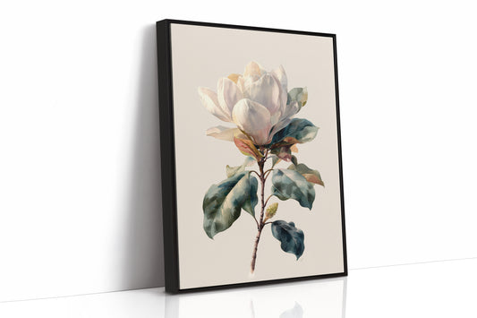 Southern Magnolia In Morning Light