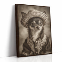 Little Bandito Wears Sunday Best