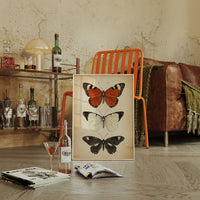 Flight Through Timeless Patterns