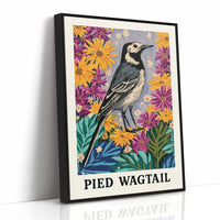 Pied Wagtail in Wildflower Garden