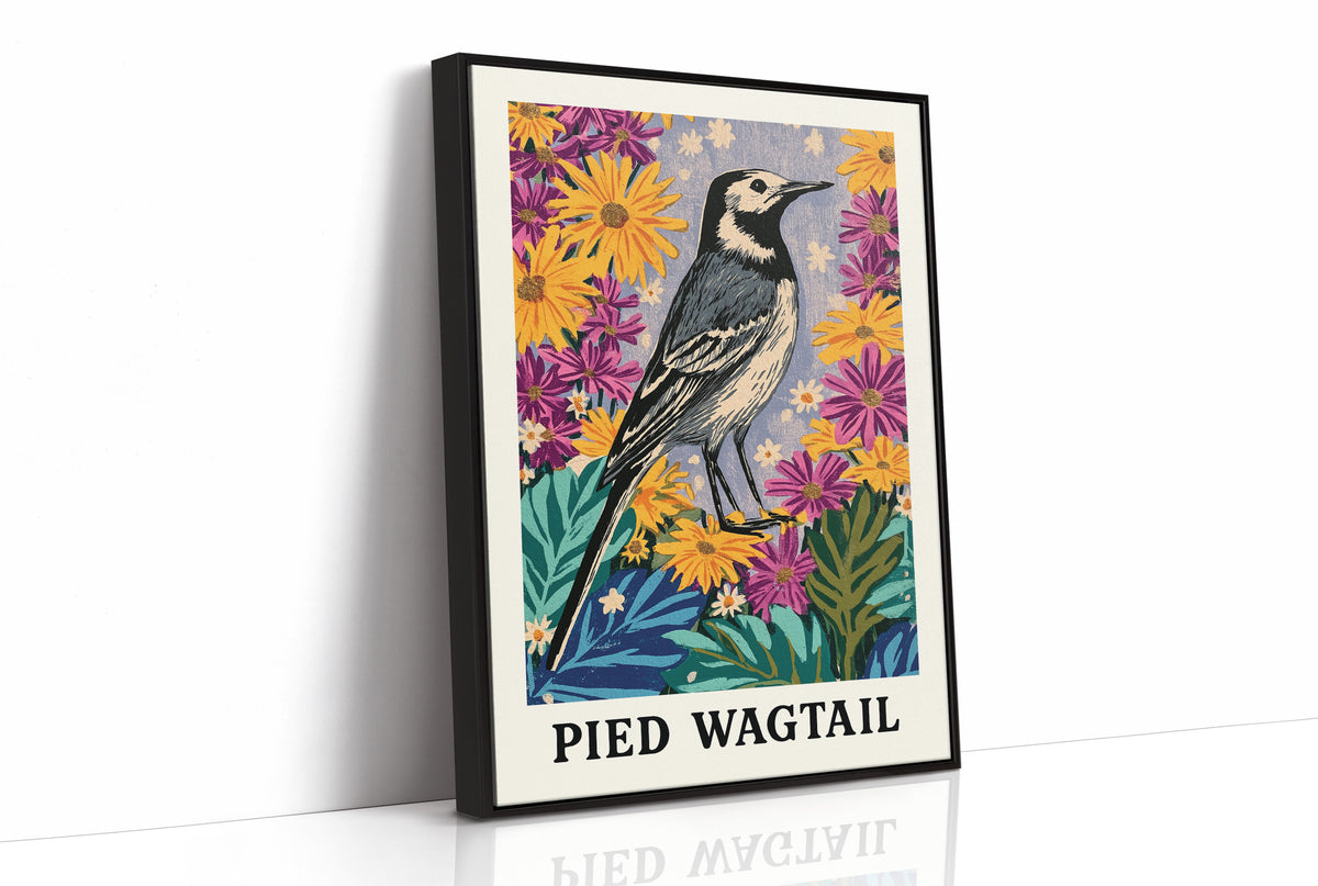 Pied Wagtail in Wildflower Garden