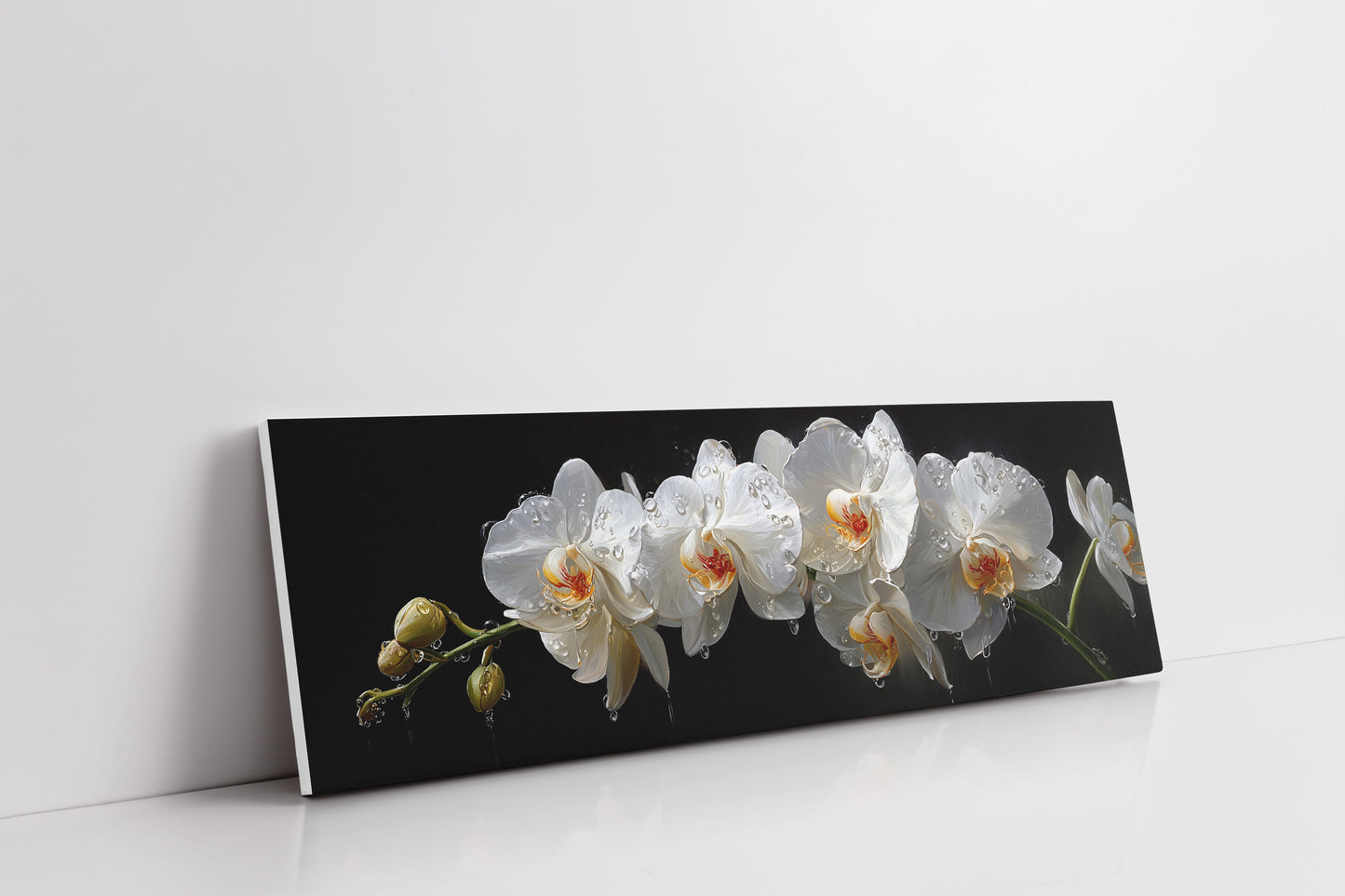 White Orchids In Midnight Bloom