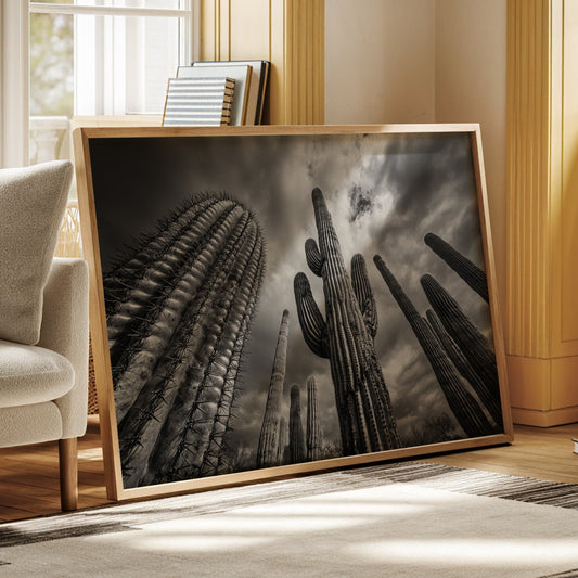 Framed black and white artwork of cacti in a living room setting with a couch and books.