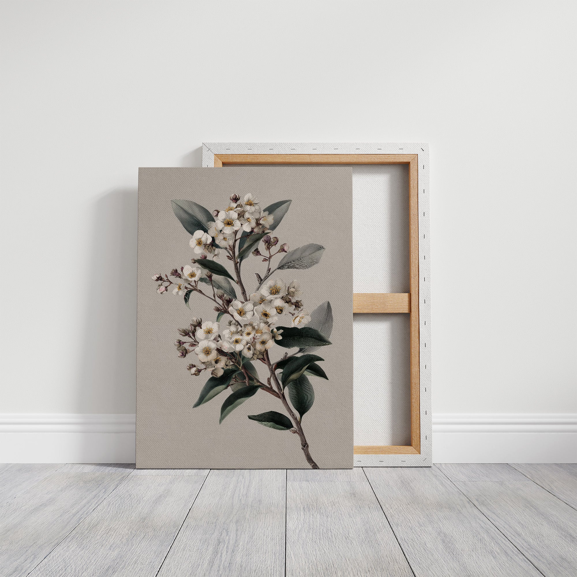 Ivory Blossoms On Quiet Branch