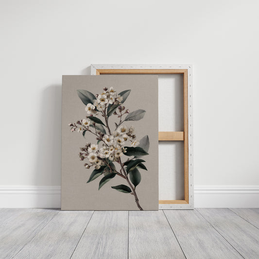 Ivory Blossoms On Quiet Branch