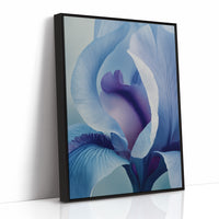 Something Soft Unfolds Within