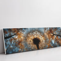 Dandelion Halo In Autumn Light
