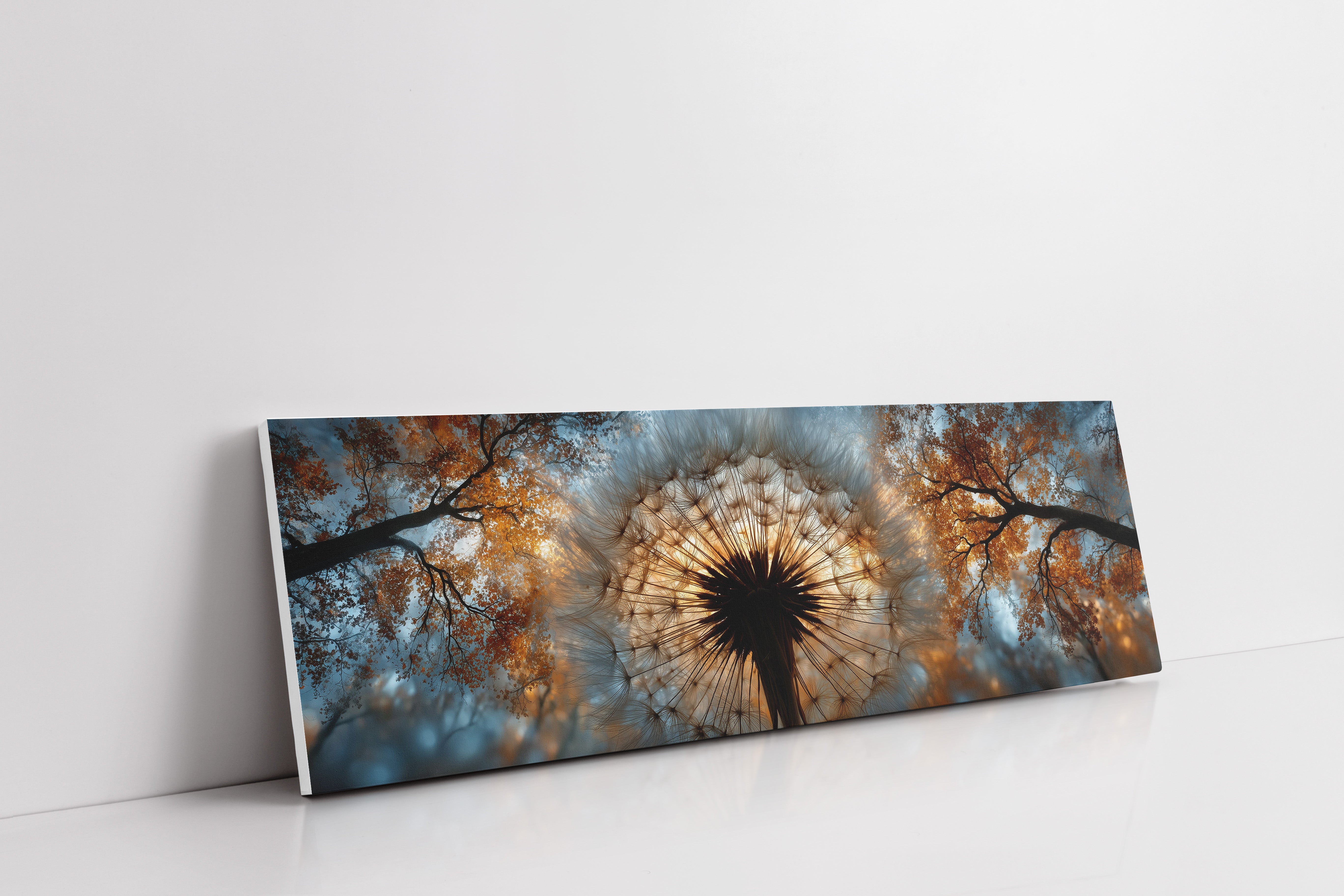 Dandelion Halo In Autumn Light