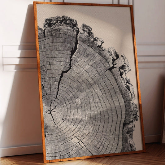 Cross-Section of Time