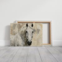 White Horse, Quiet Frost
