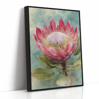 The King Protea Holds Court