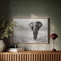 Wisdom Walks The Savanna Plains