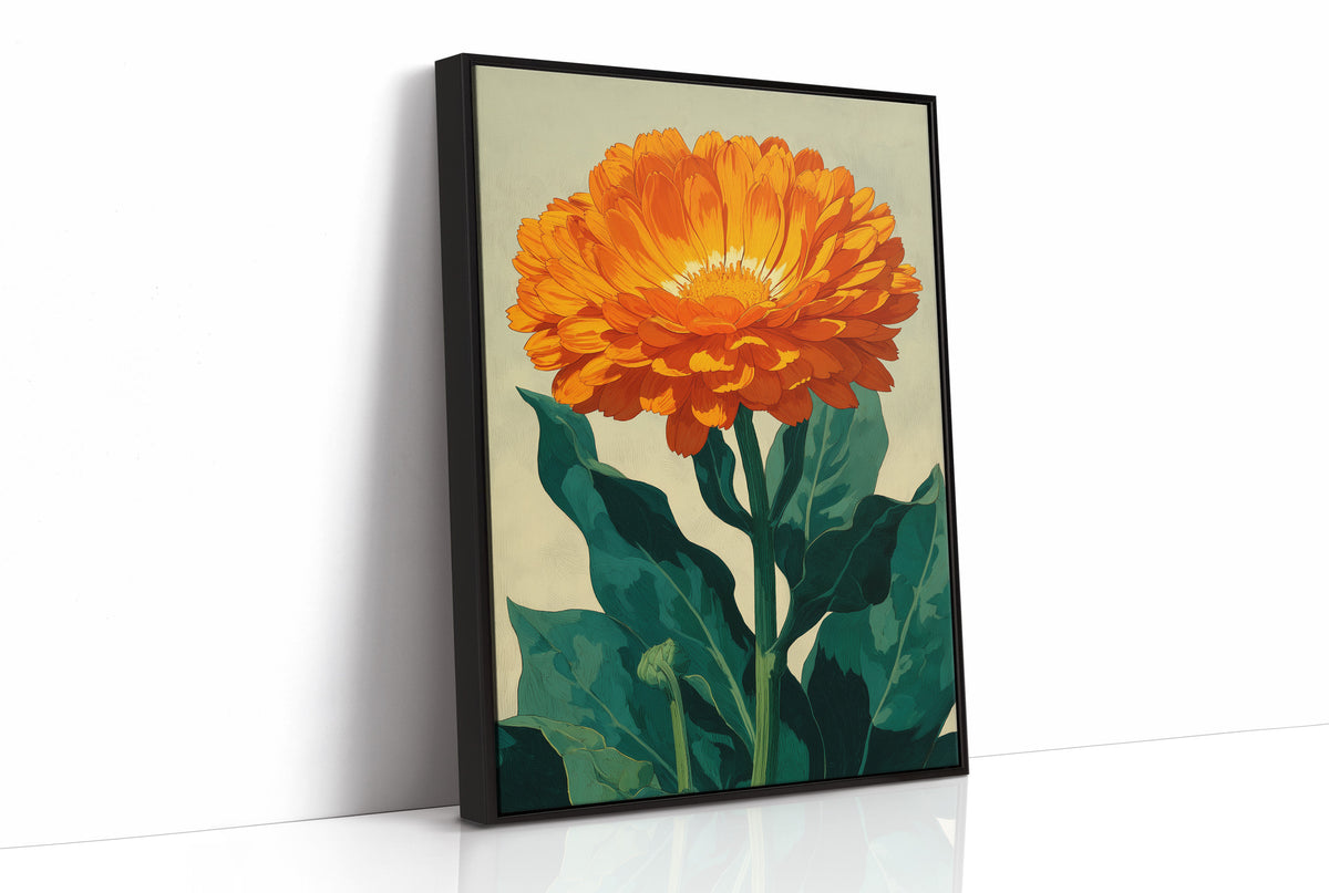 The Calendula Held the Light