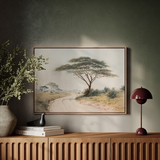 Acacia Bends Over Winding Path