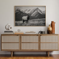 Crown of the Wilderness