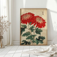 Red Chrysanthemum Elegance