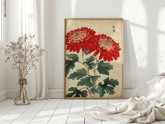 Red Chrysanthemum Elegance