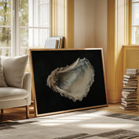 Pearls Sleep In Coastal Depths