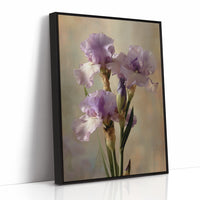Three Irises in Morning Light