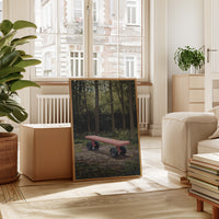 Pink Bench Waits In Forest Shade