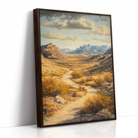 Winding Trail Through Golden Desert