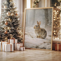 Winter Rabbit Finds Silent Snow