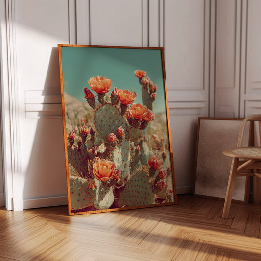 Desert Blooms in Radiant Sunlight