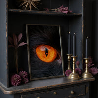 What the Cat's Eye Saw