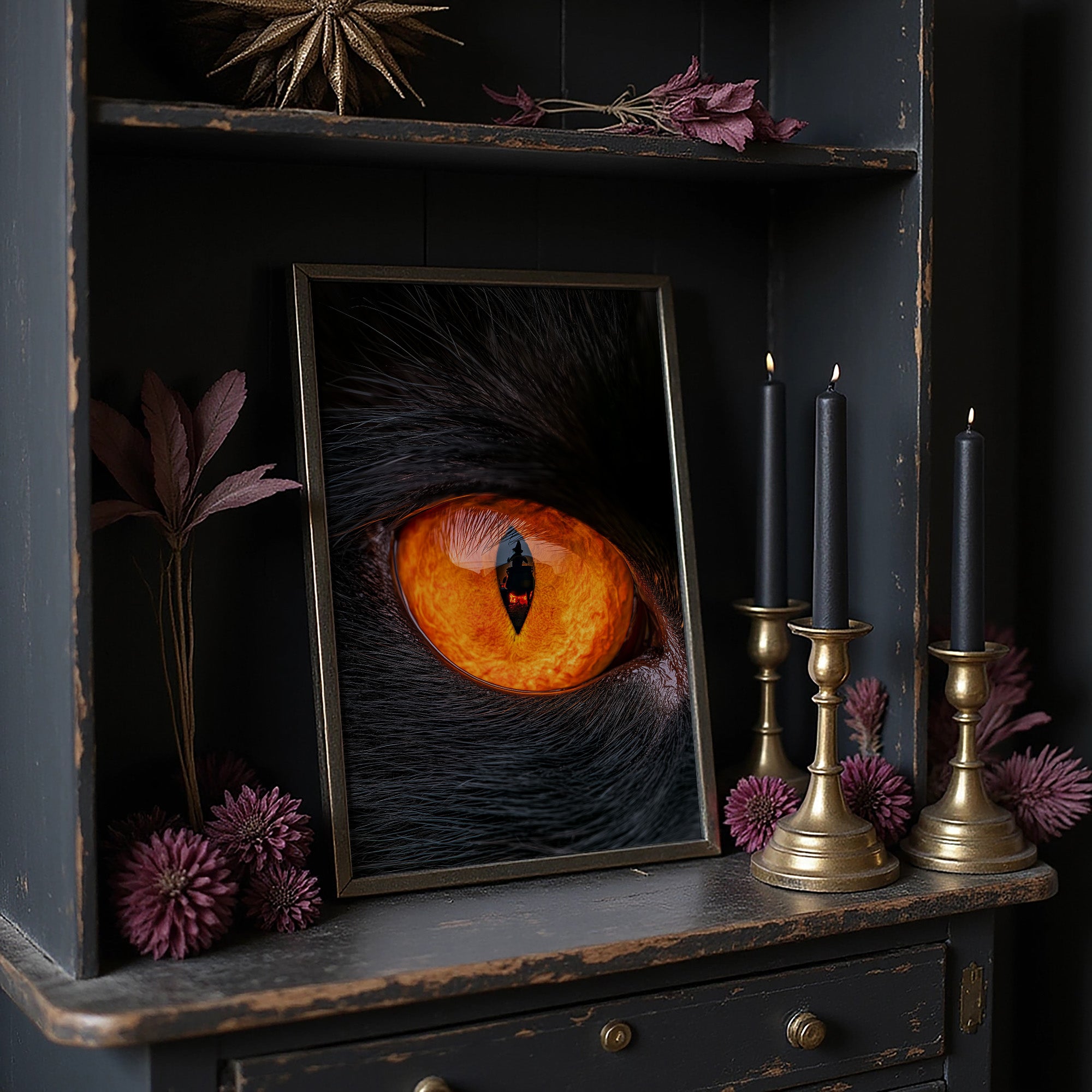 What the Cat's Eye Saw
