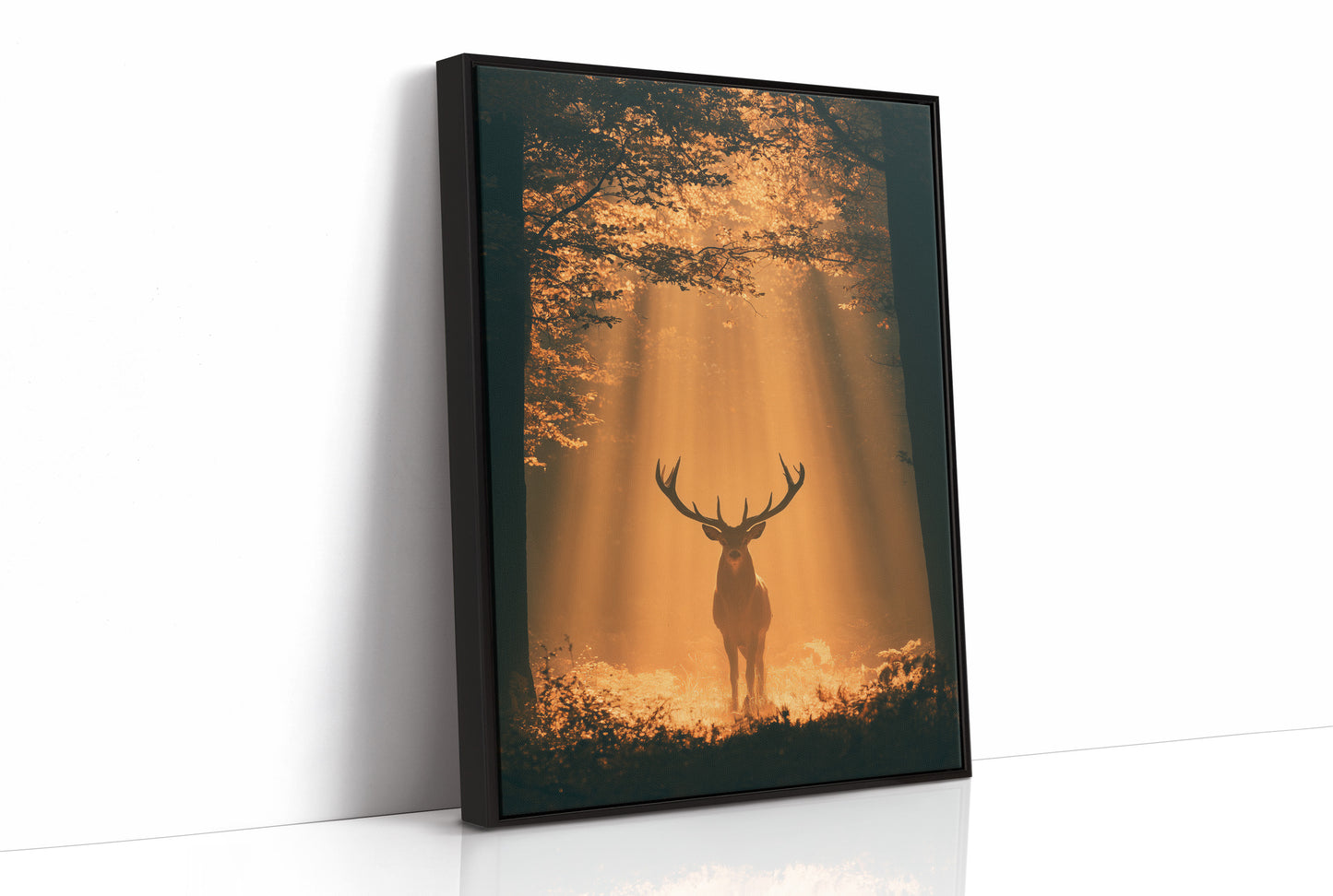 Where the Light Finds the Forest King