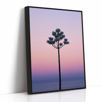Twilight Palm Reaches For Stars