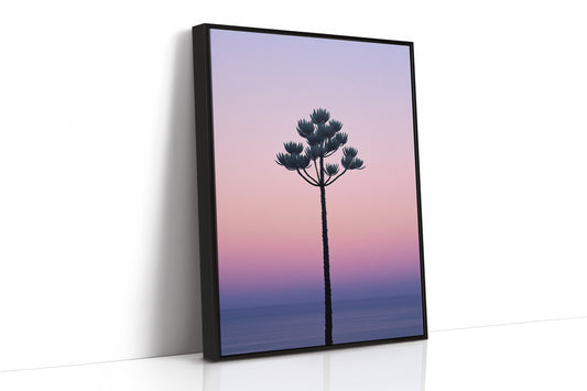 Twilight Palm Reaches For Stars