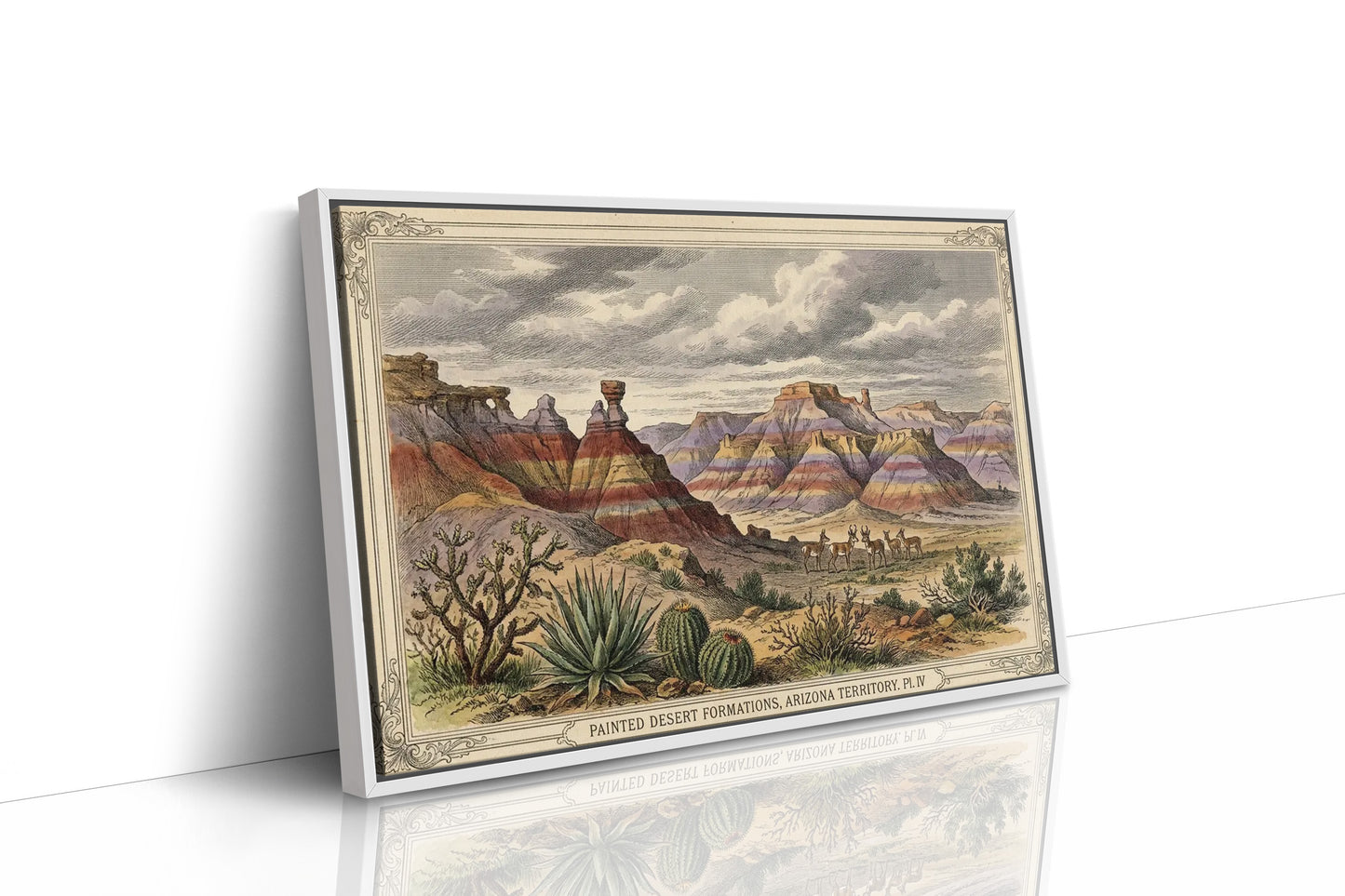 Painted Desert, Plate IV